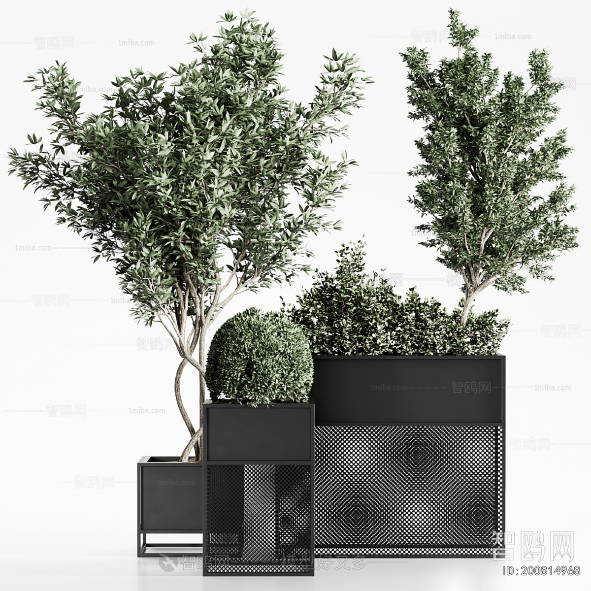 Modern Potted Green Plant