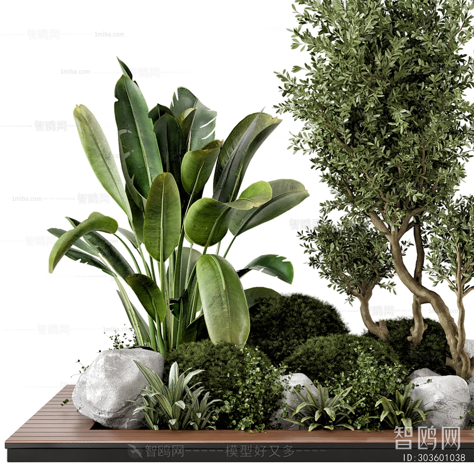 Modern Plant Landscaping