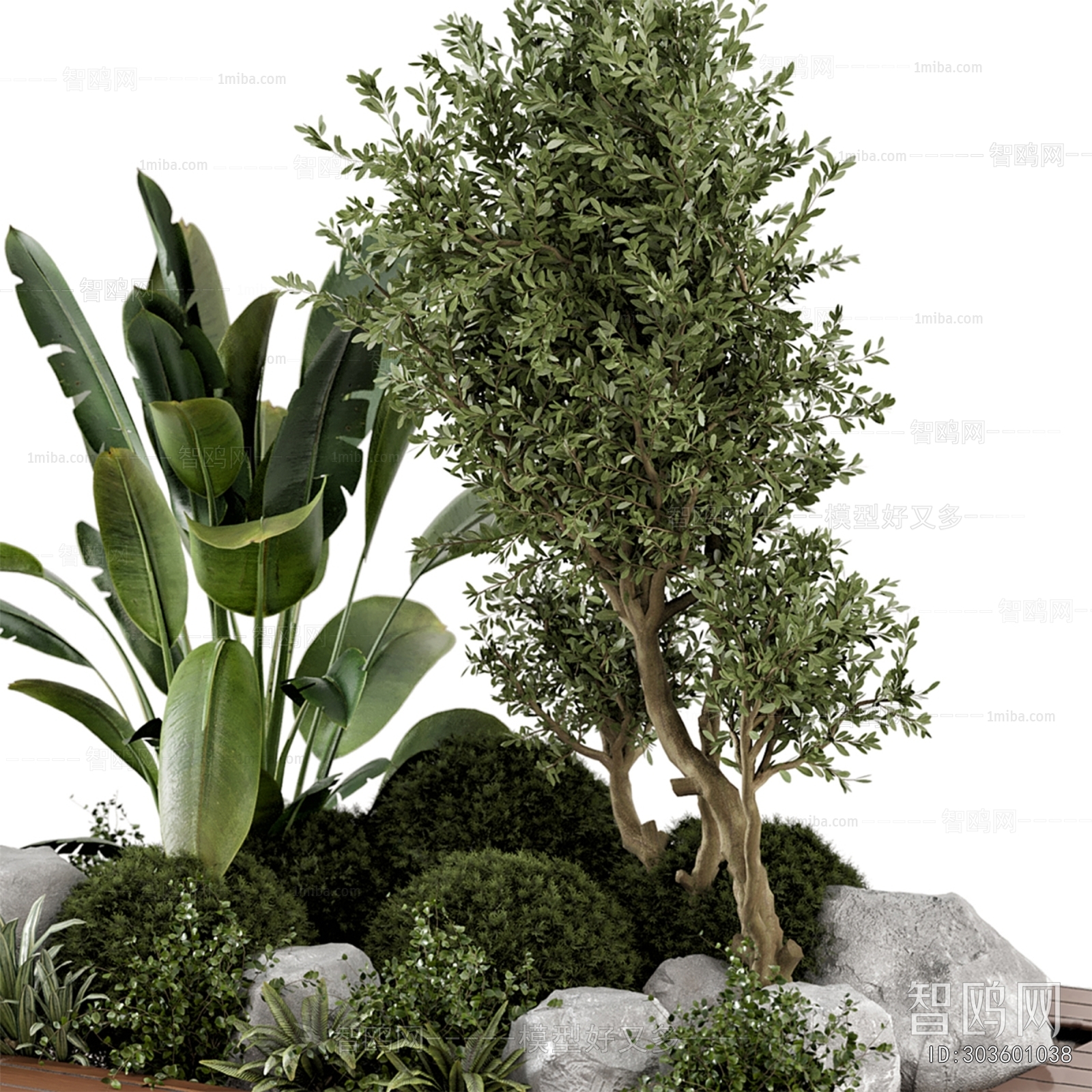 Modern Plant Landscaping