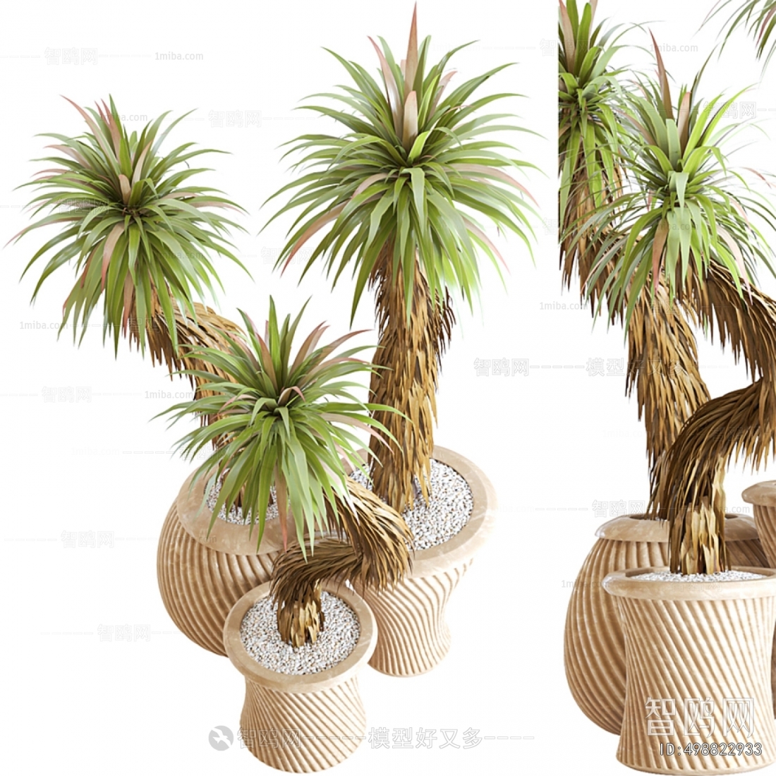 Japanese Style Ground Green Plant Potted Plants