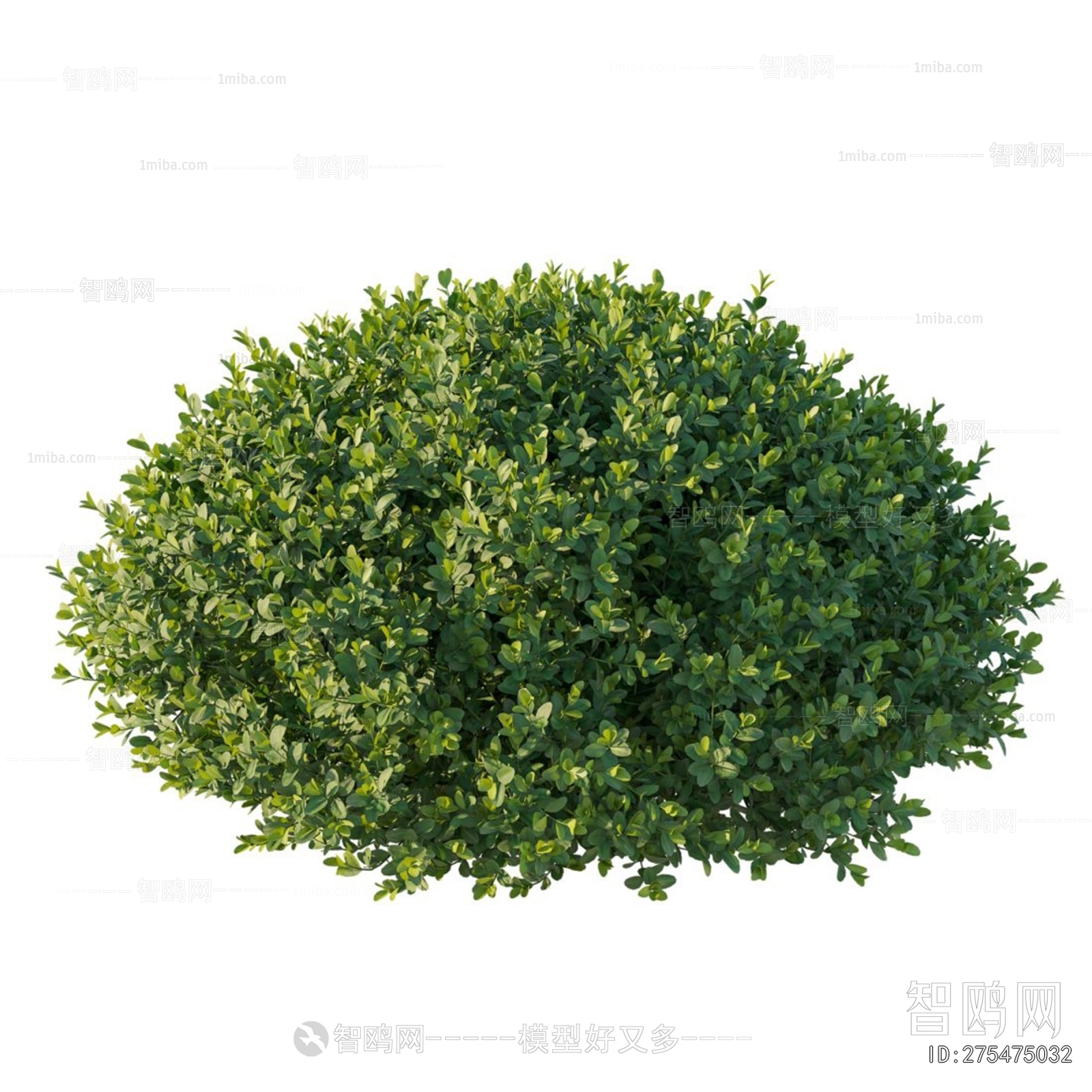 Modern Shrubbery