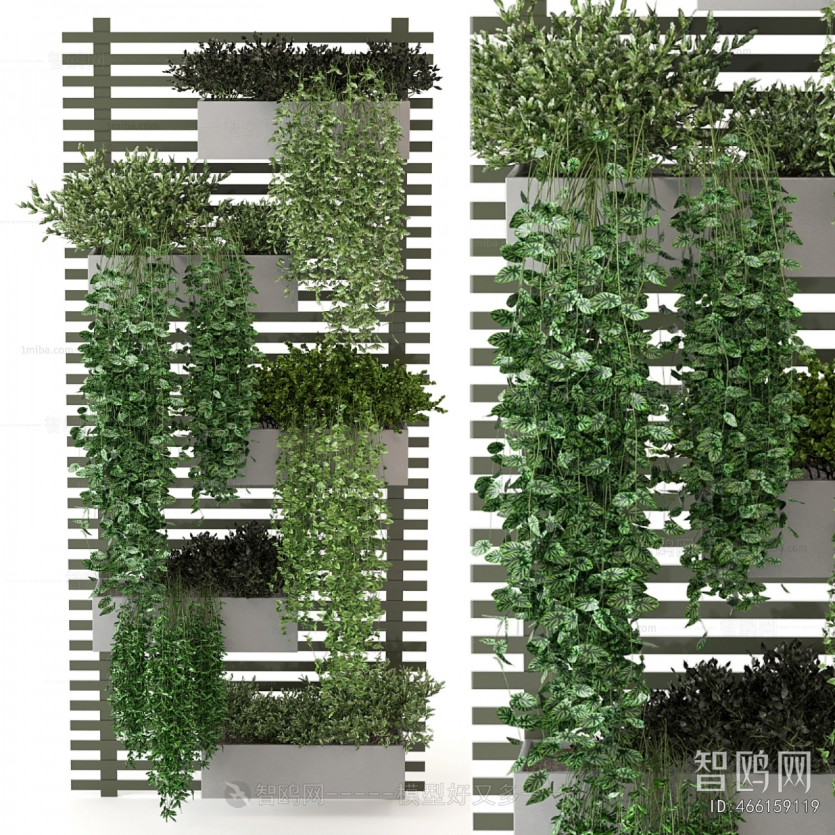 Modern Plant Wall