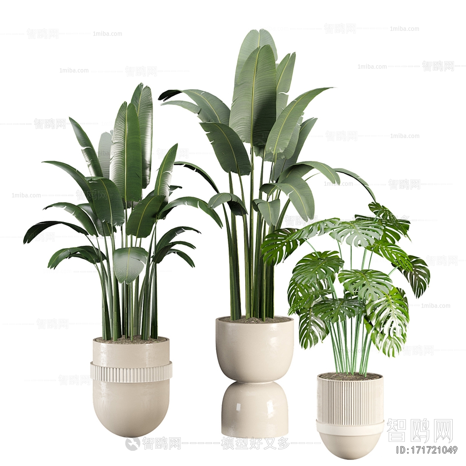 Modern Ground Green Plant Potted Plants