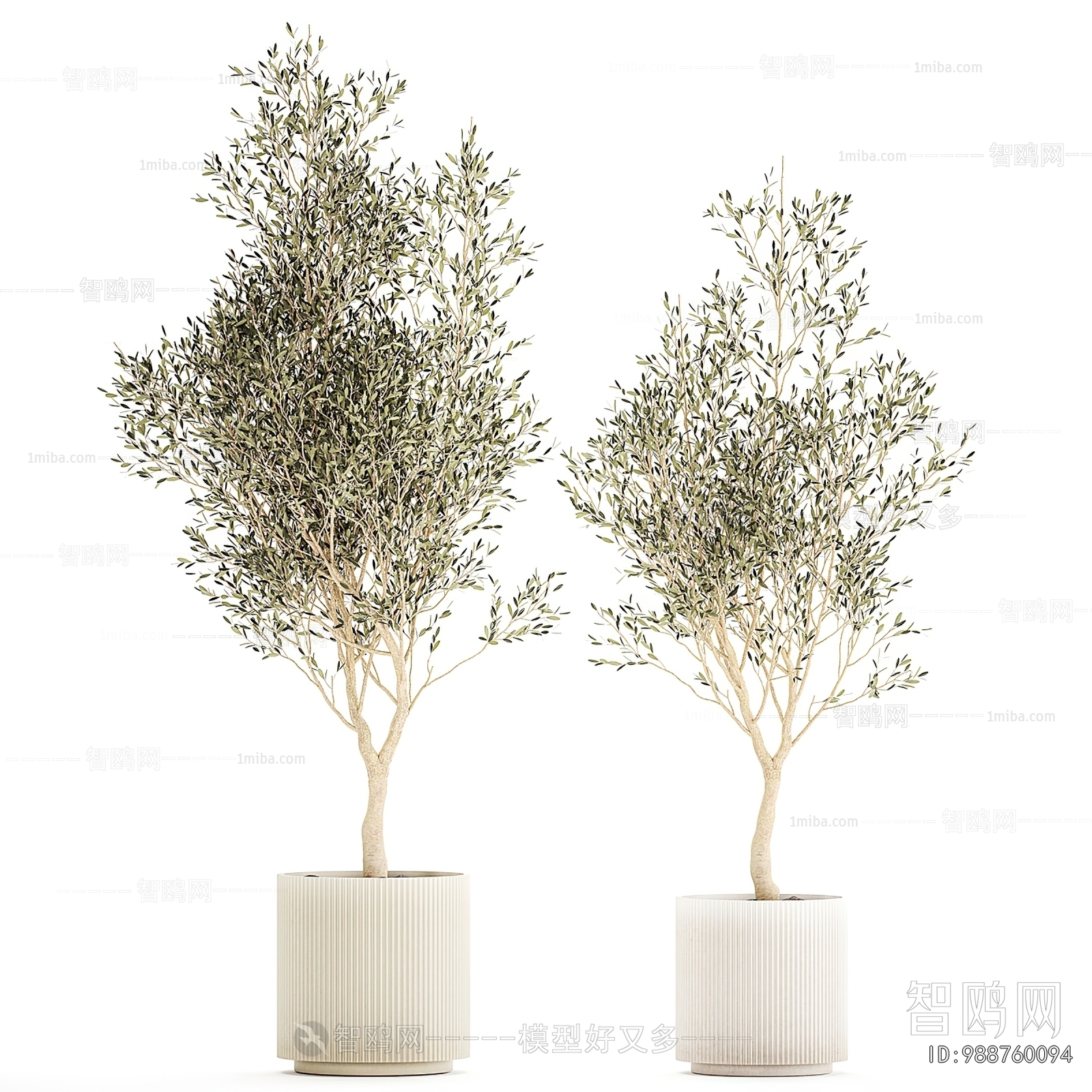 Modern Ground Green Plant Potted Plants