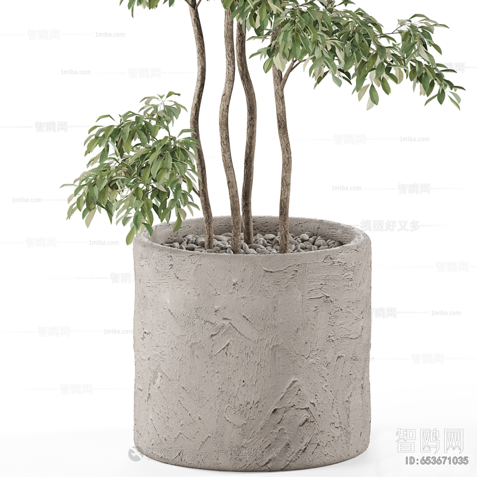 Modern Ground Green Plant Potted Plants