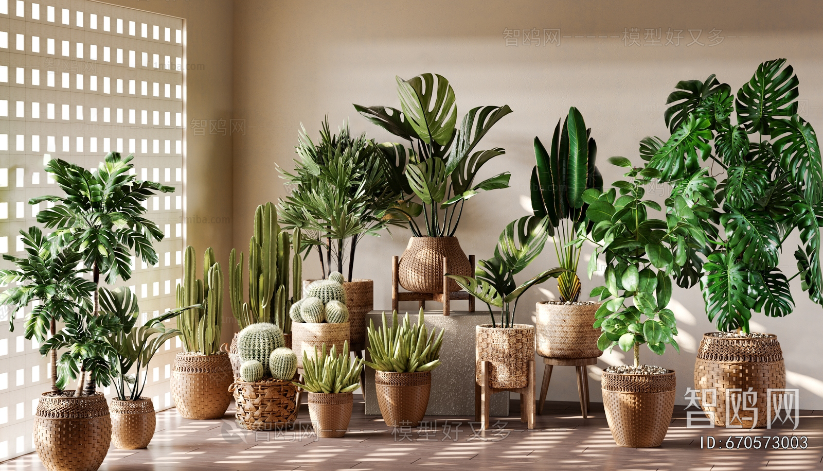 Modern Potted Green Plant