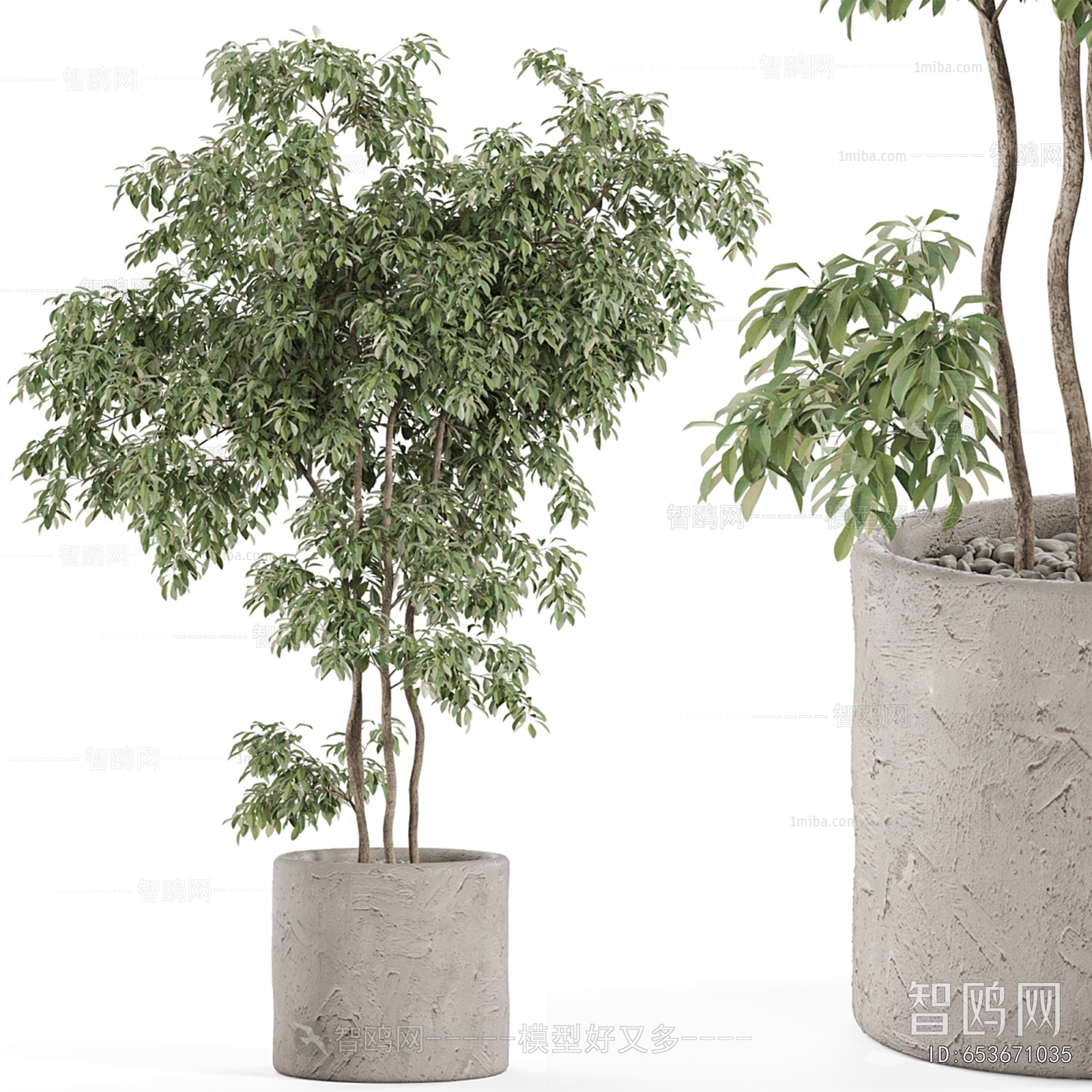 Modern Ground Green Plant Potted Plants