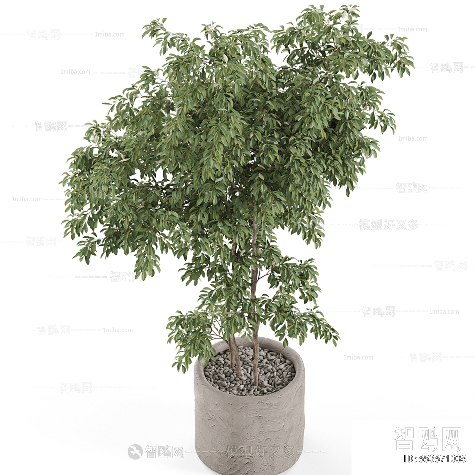 Modern Ground Green Plant Potted Plants