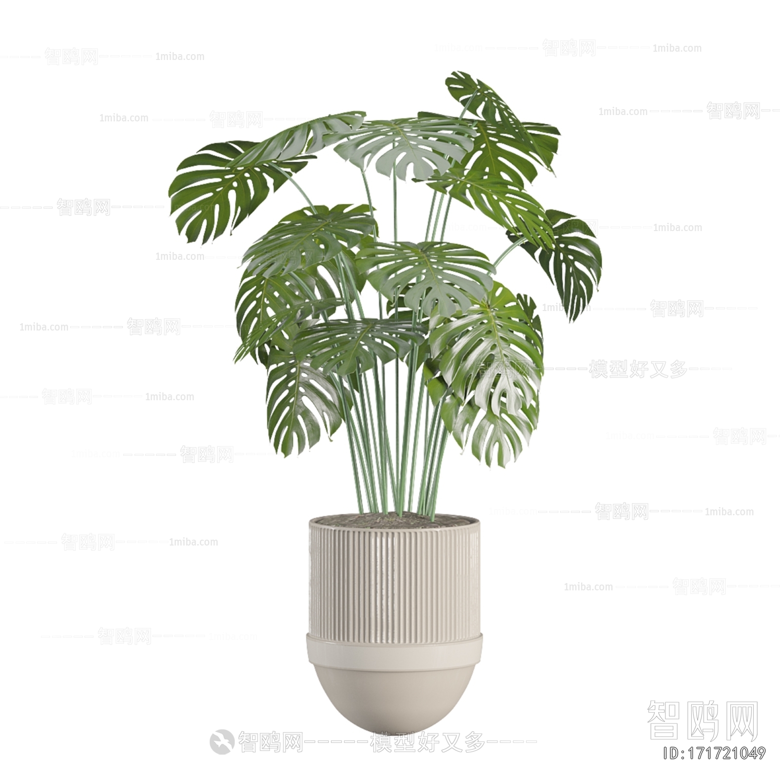 Modern Ground Green Plant Potted Plants