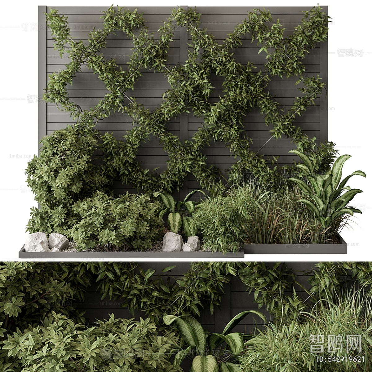 Modern Plant Wall