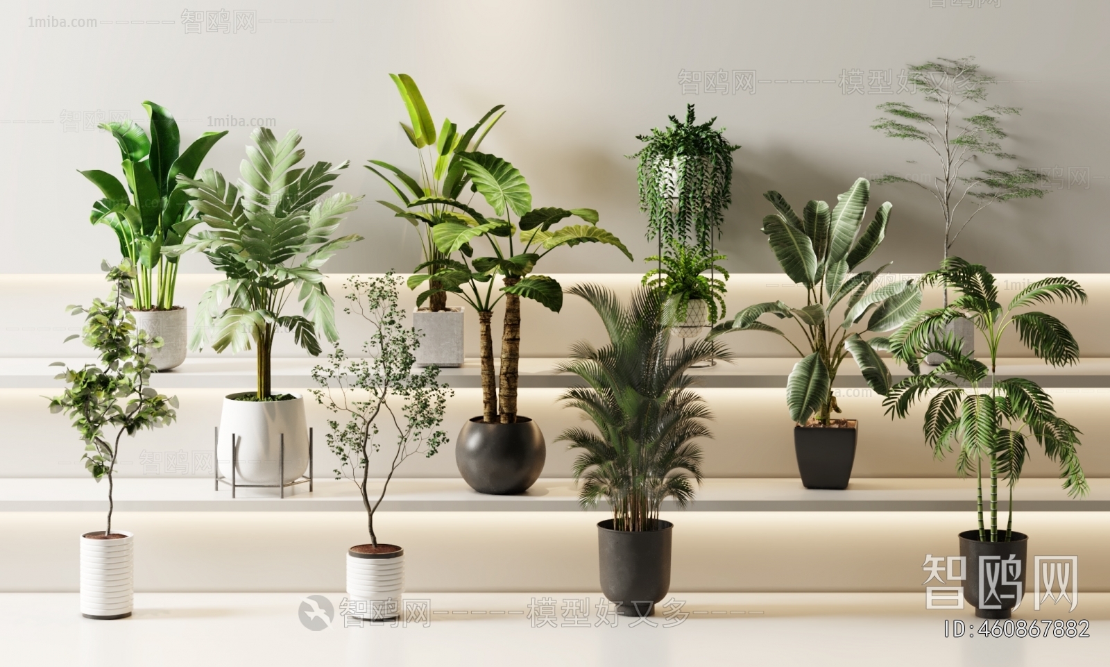 Modern Ground Green Plant Potted Plants