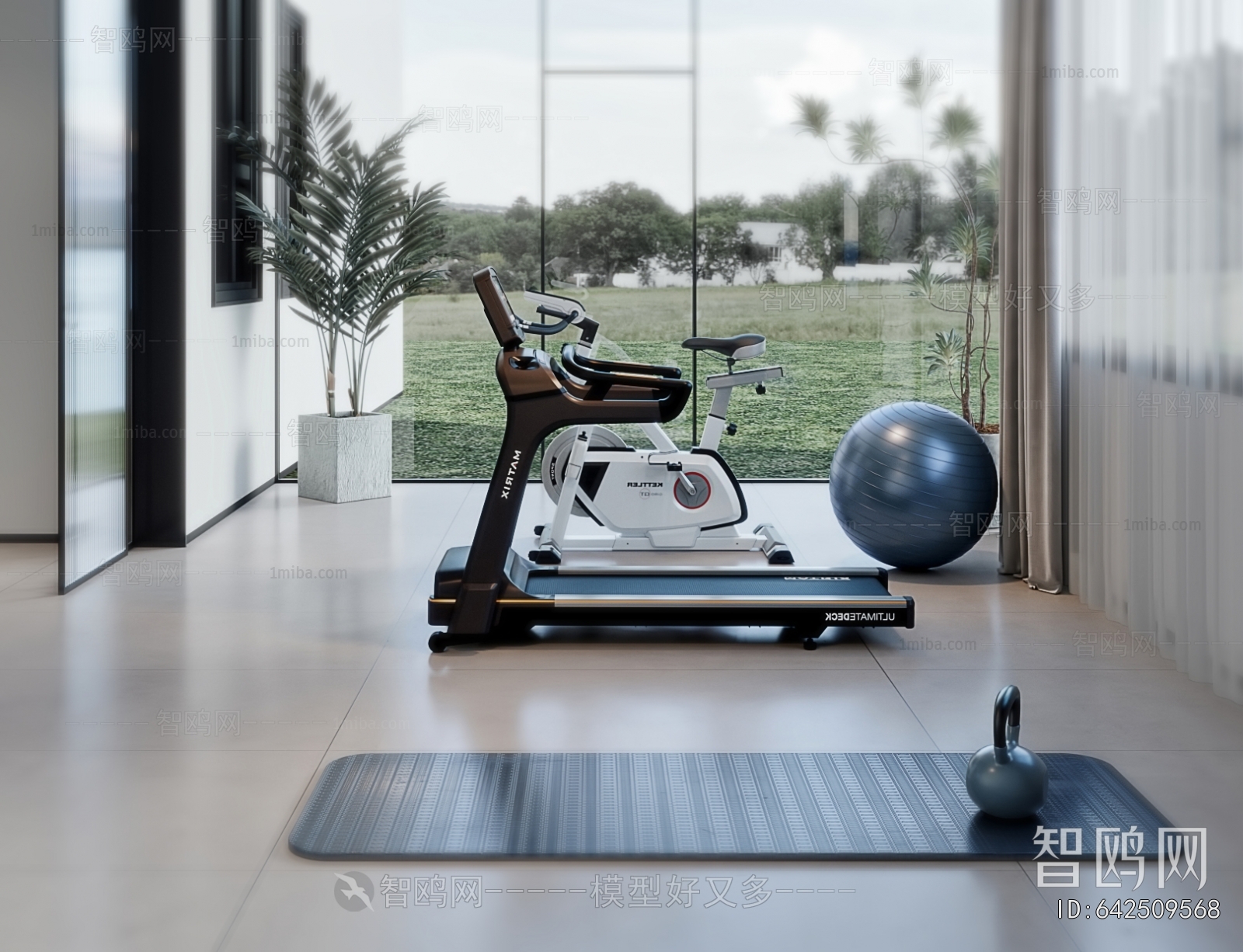 Modern Home Fitness Room