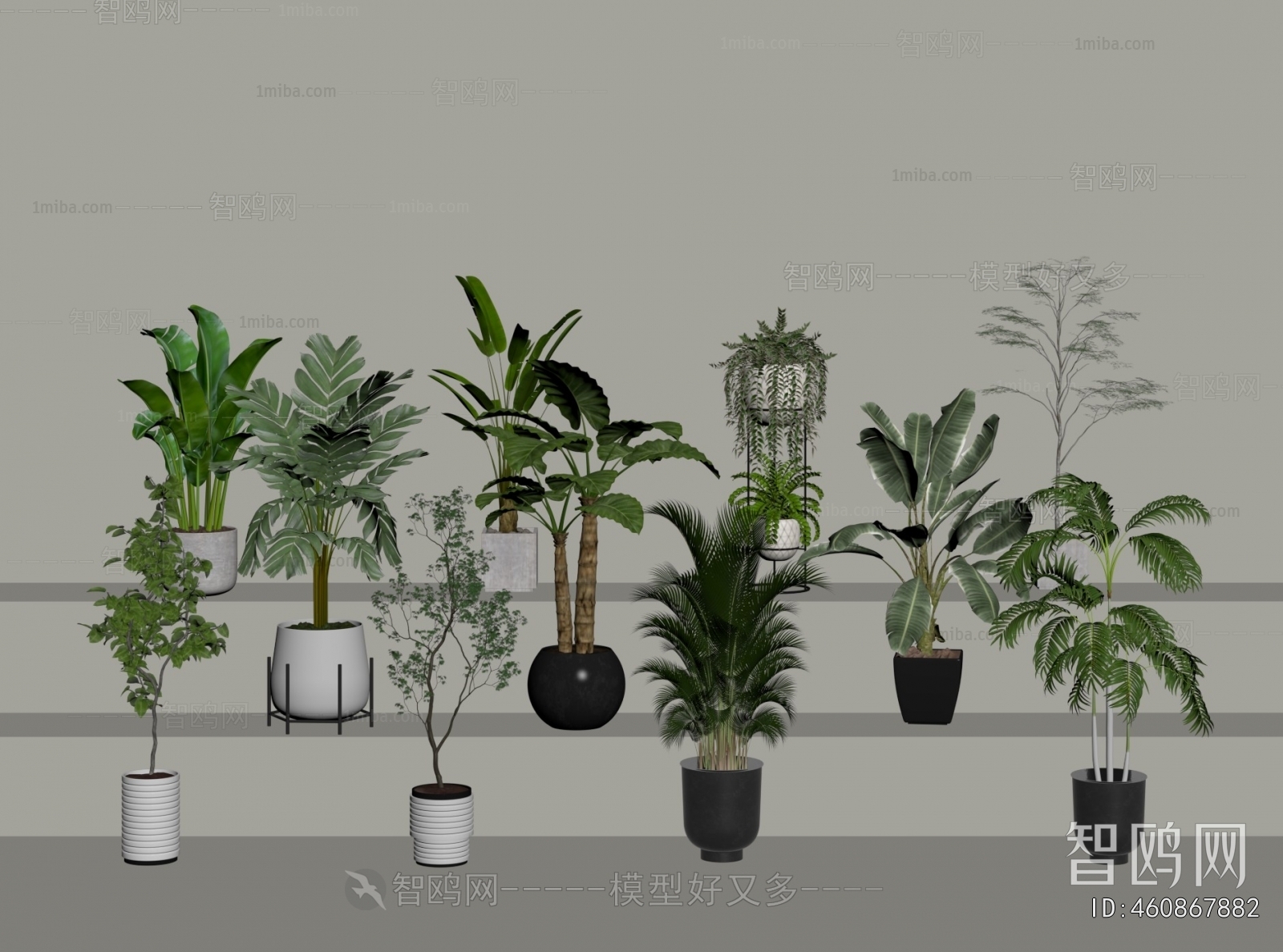 Modern Ground Green Plant Potted Plants