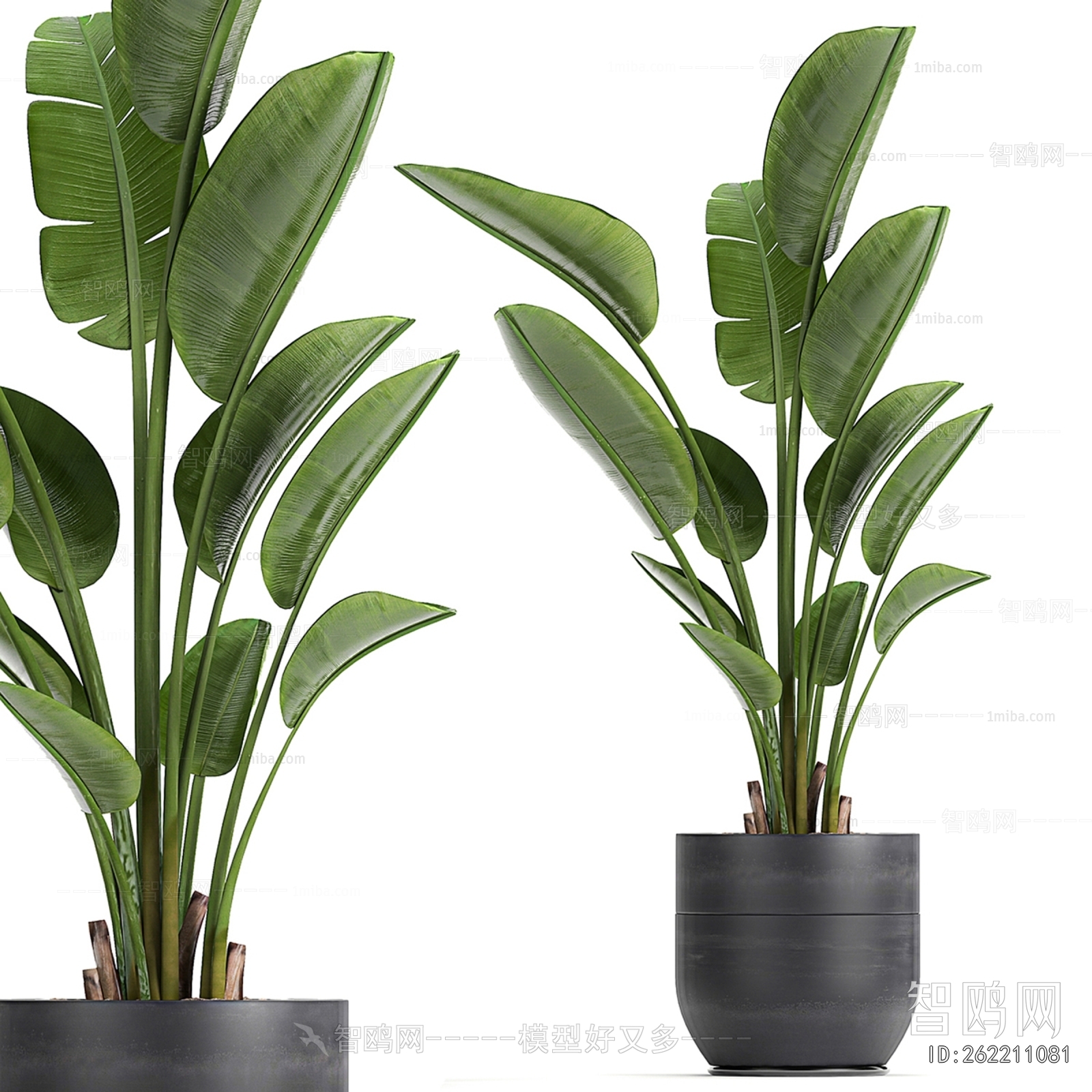 Modern Ground Green Plant Potted Plants