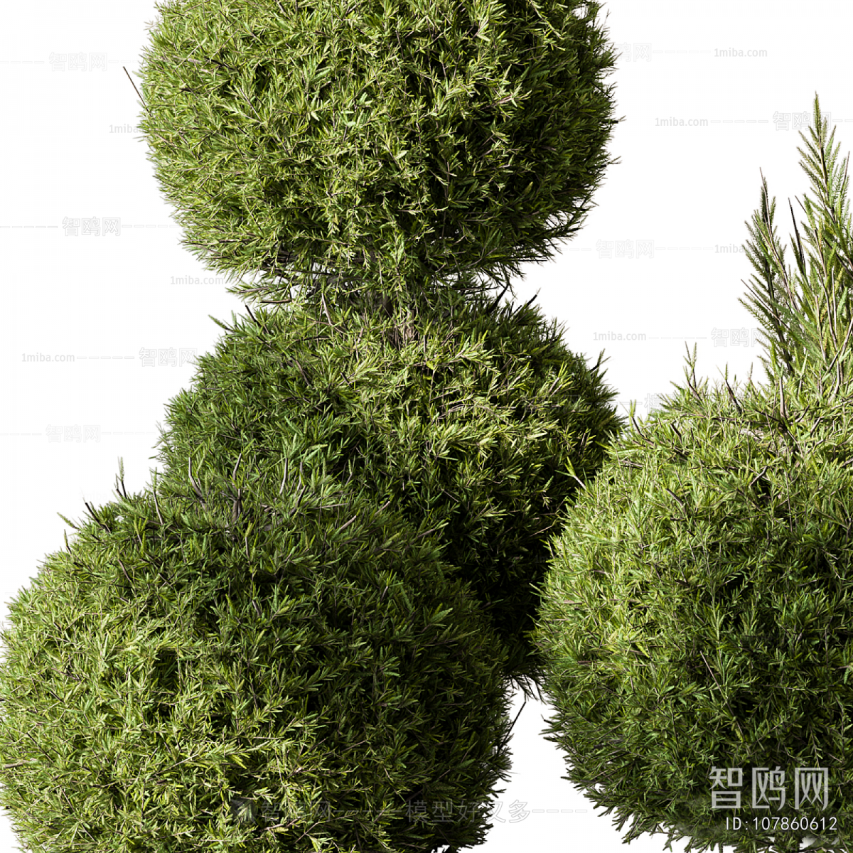 Modern Shrubbery