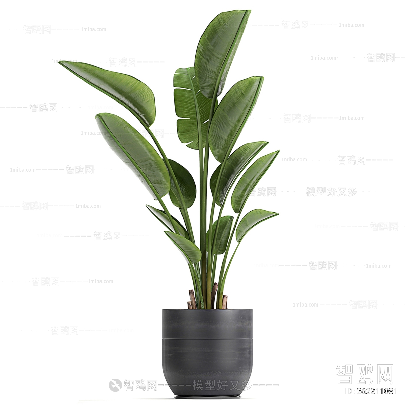 Modern Ground Green Plant Potted Plants