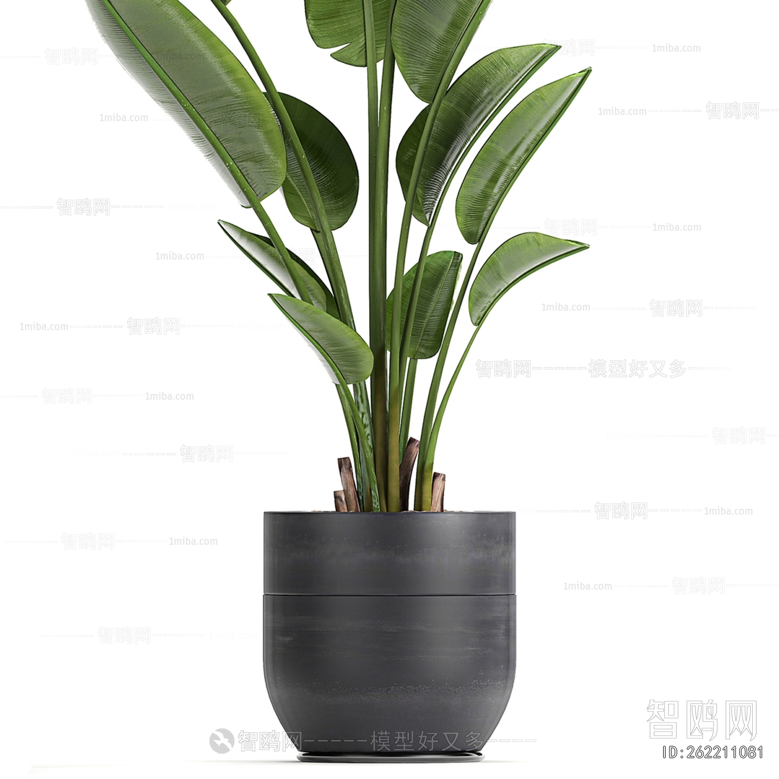 Modern Ground Green Plant Potted Plants