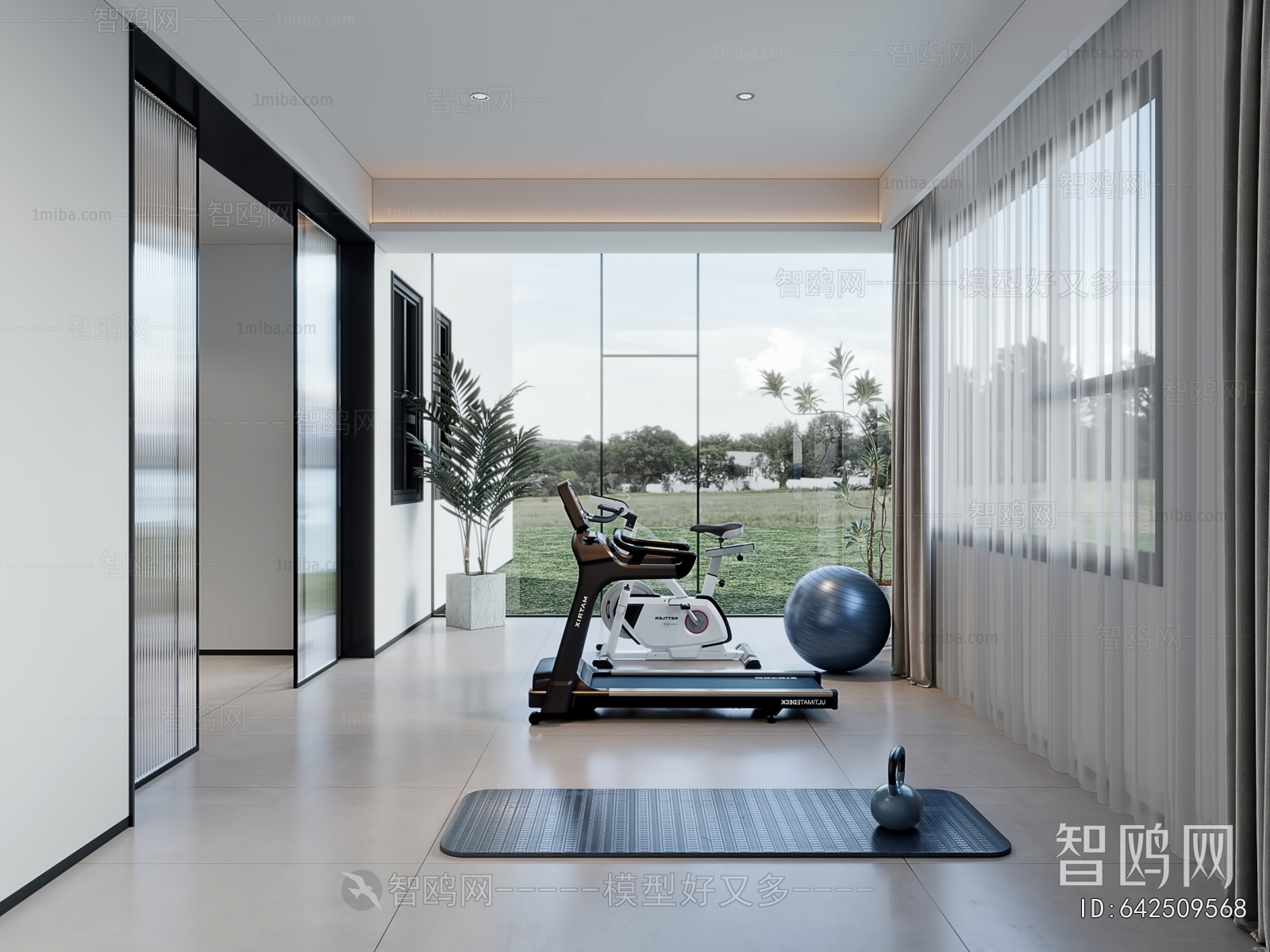 Modern Home Fitness Room