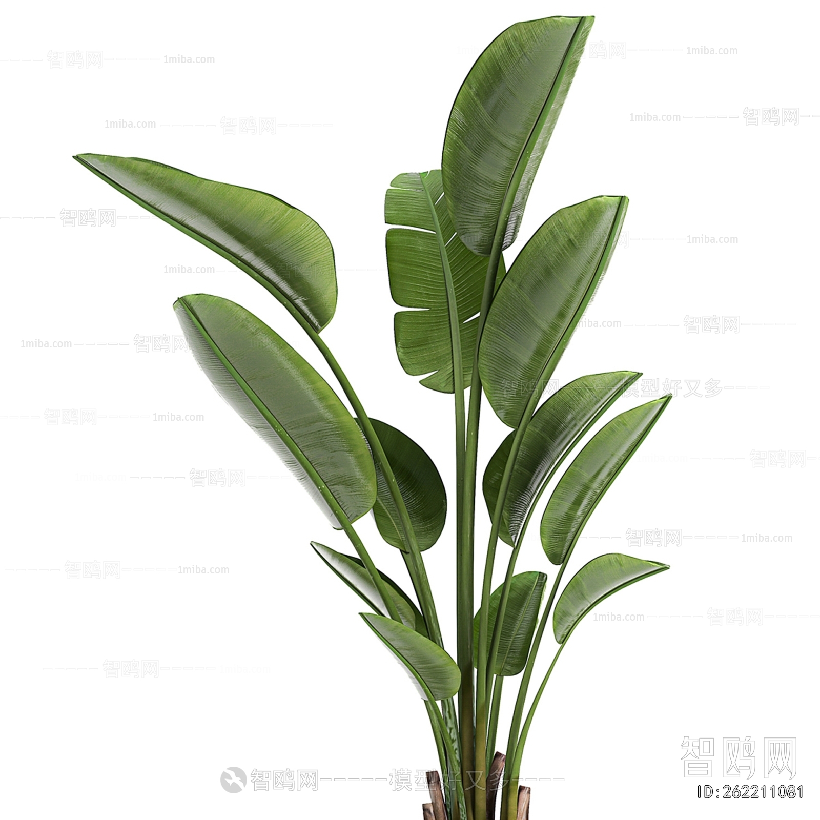 Modern Ground Green Plant Potted Plants