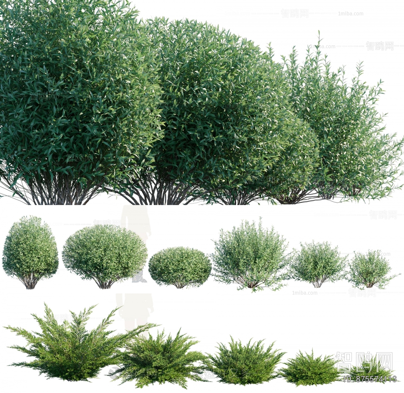 Modern Shrubbery