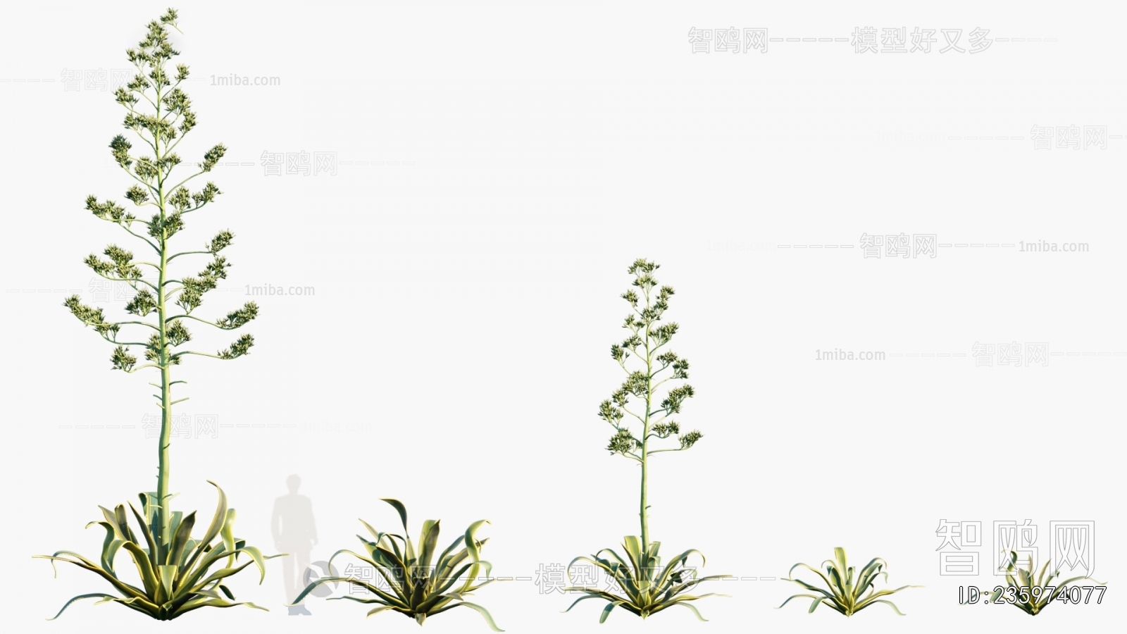 Modern Flowers And Grass