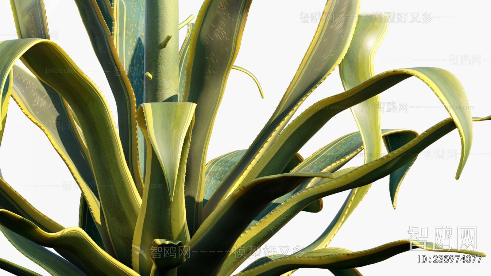 Modern Flowers And Grass