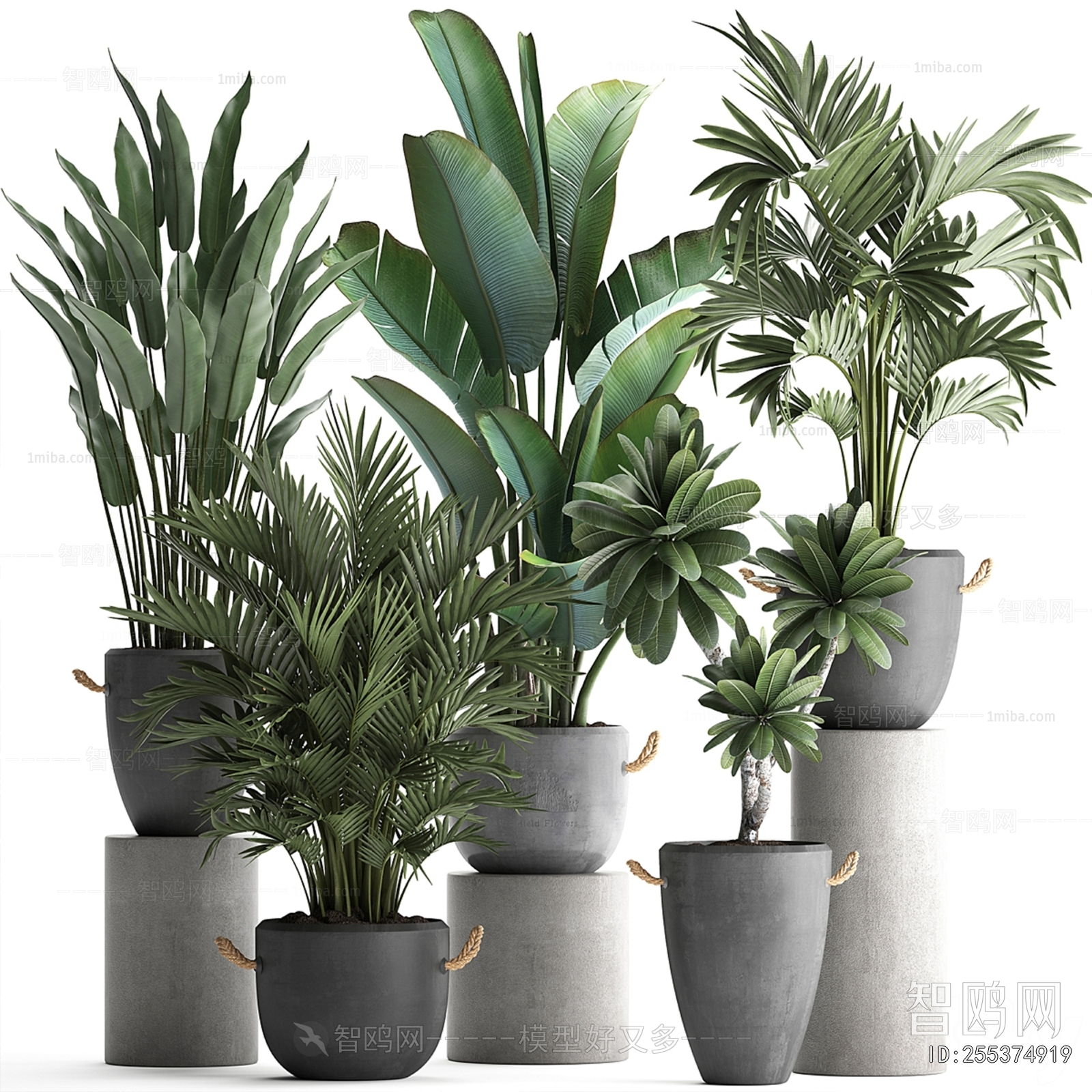 Modern Ground Green Plant Potted Plants