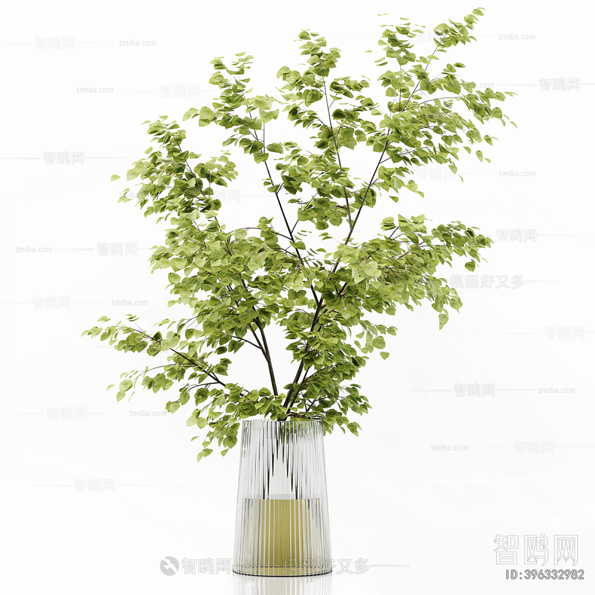 Modern Aquatic Green Plant