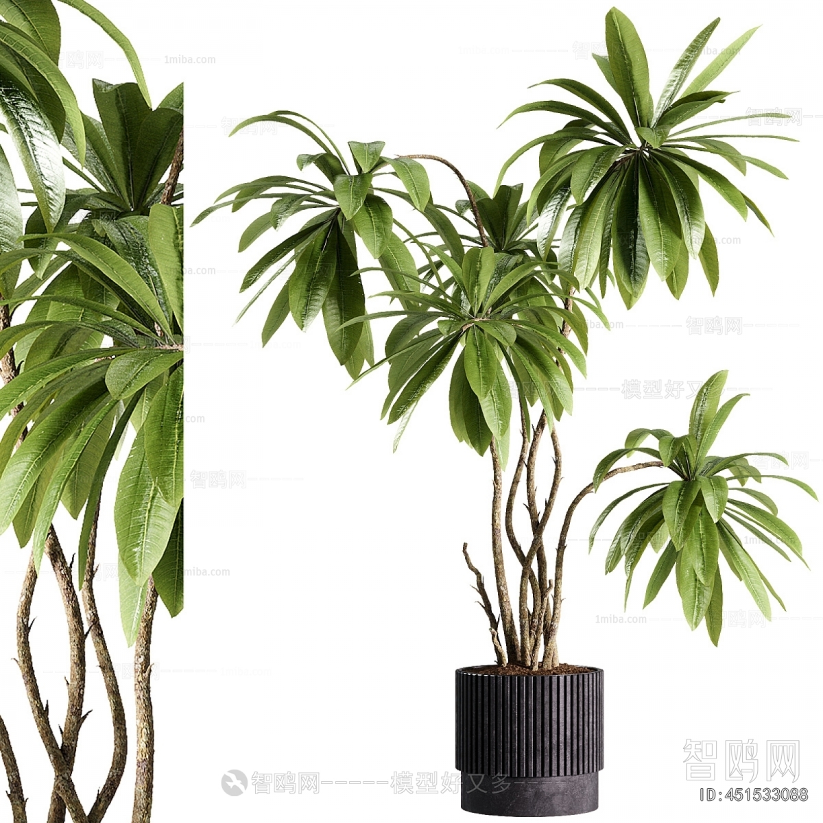 Modern Ground Green Plant Potted Plants