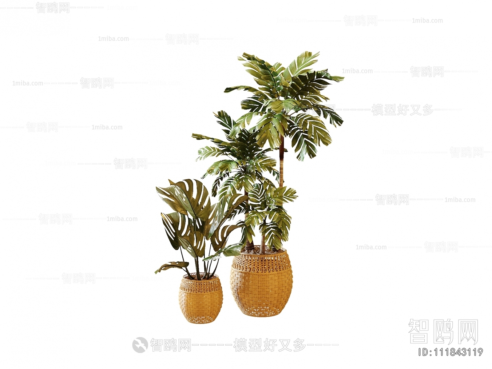 Modern Ground Green Plant Potted Plants