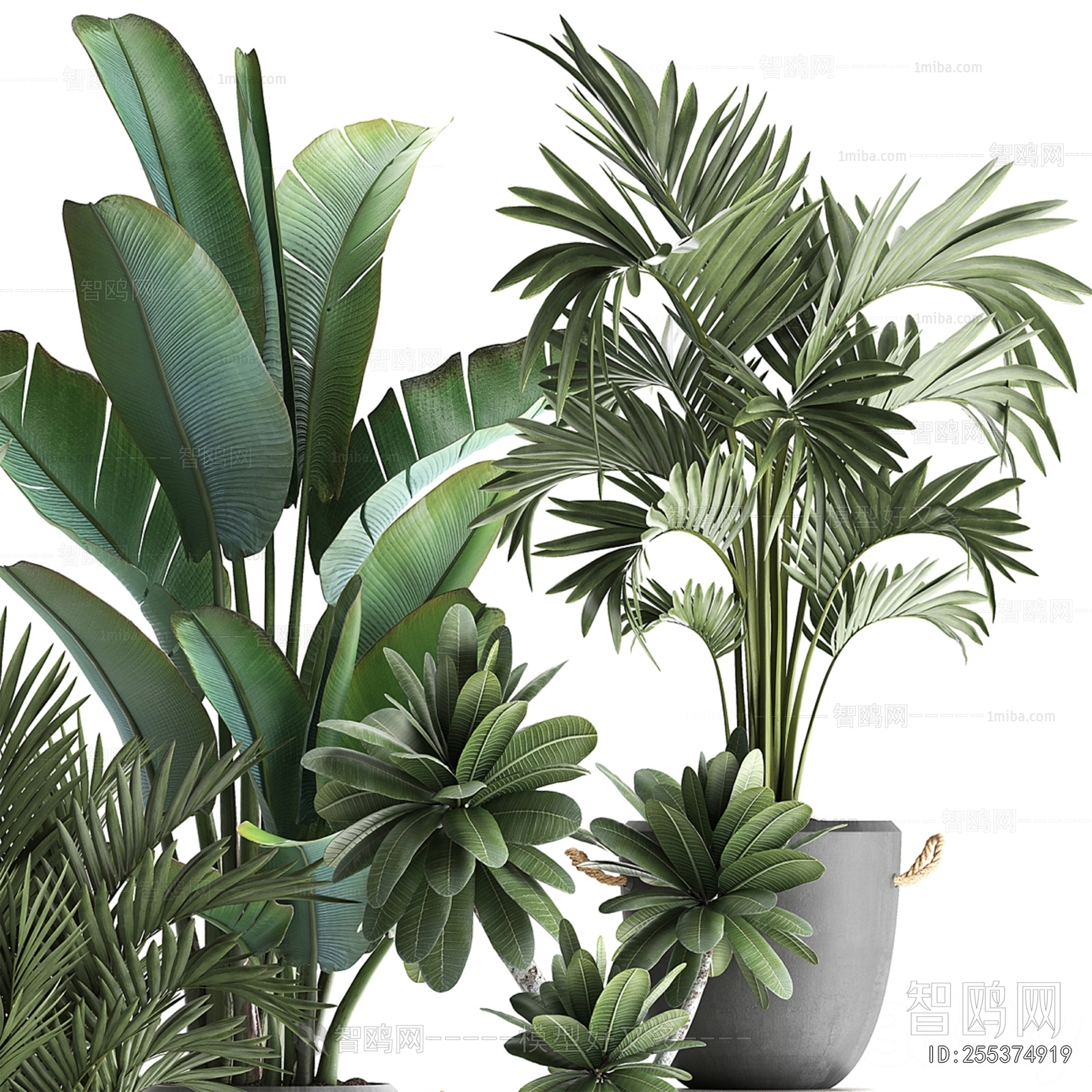 Modern Ground Green Plant Potted Plants