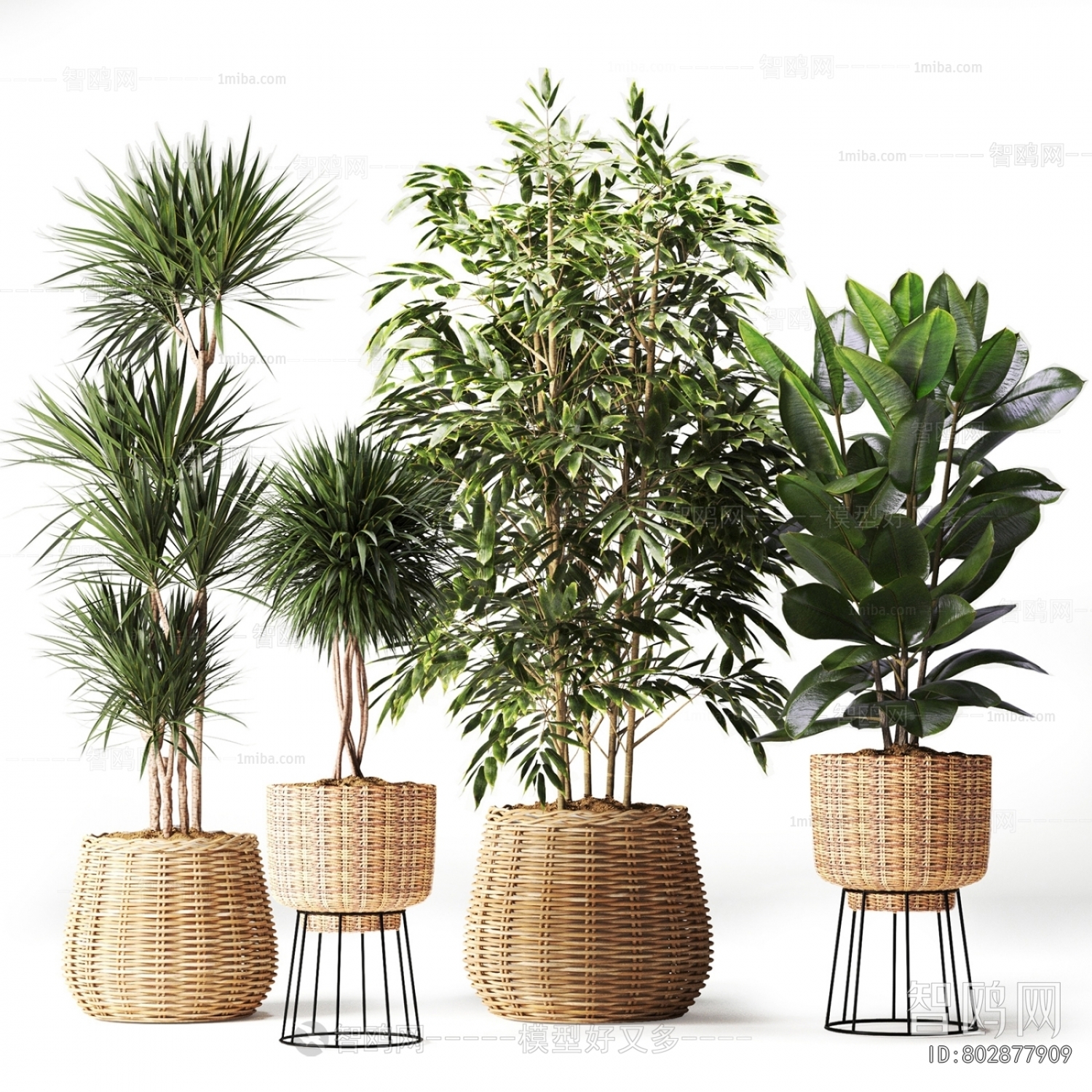 Modern Ground Green Plant Potted Plants