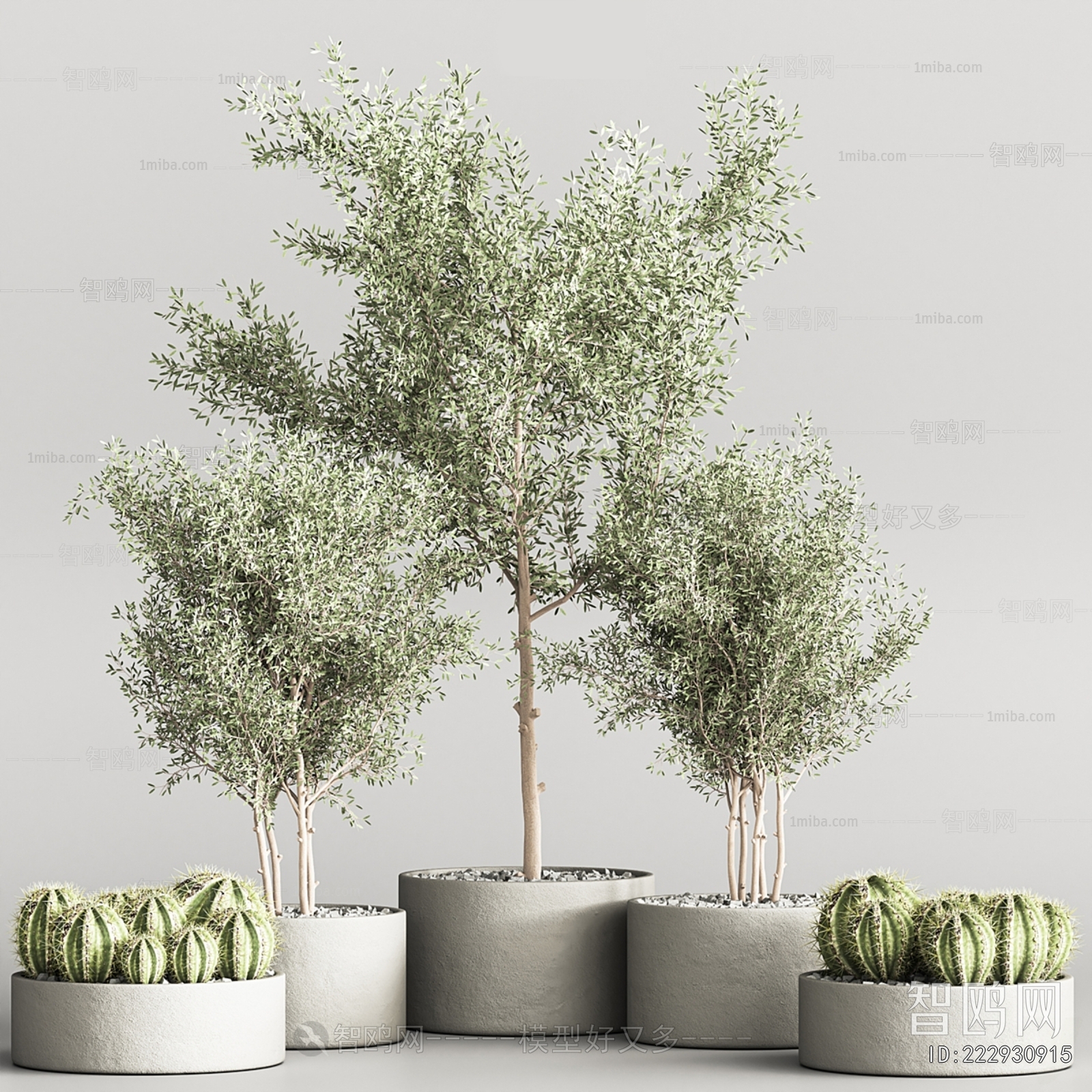 Modern Ground Green Plant Potted Plants