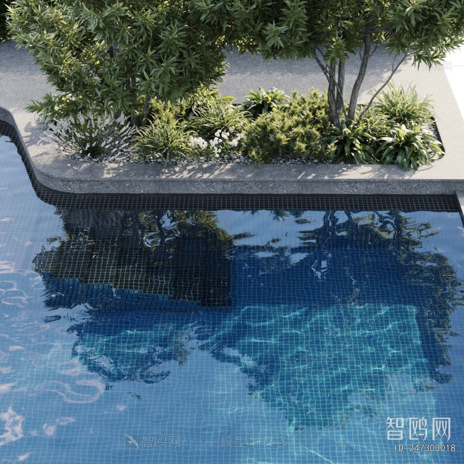 Modern Swimming Pool