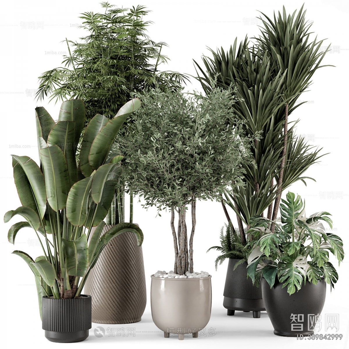 Modern Ground Green Plant Potted Plants