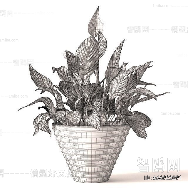 Modern Desktop Plant