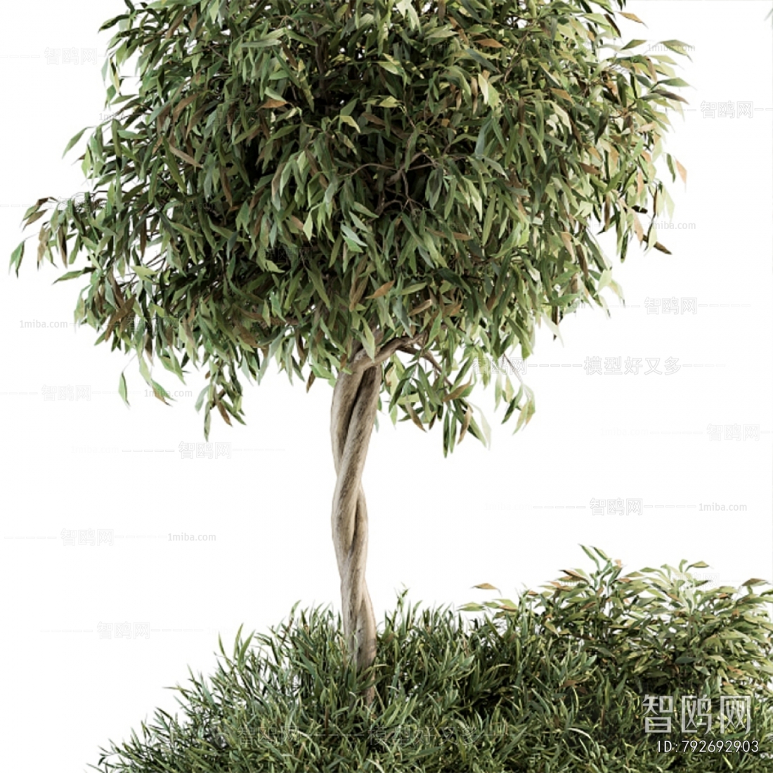 Modern Flower Bed, Flower Bowl, Flower Box