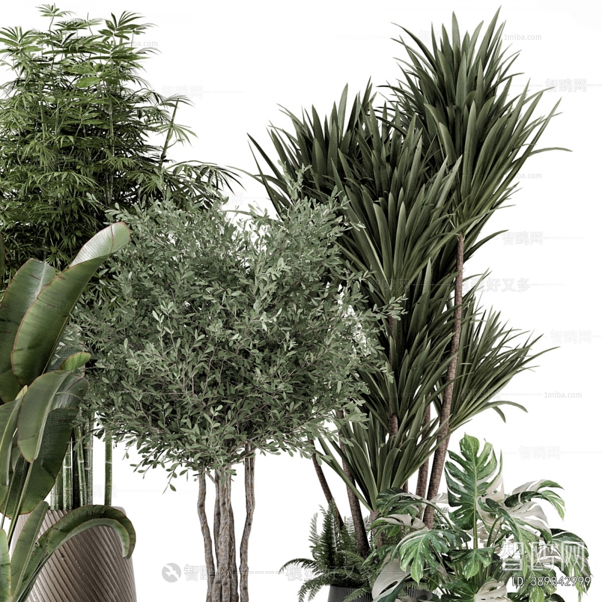 Modern Ground Green Plant Potted Plants