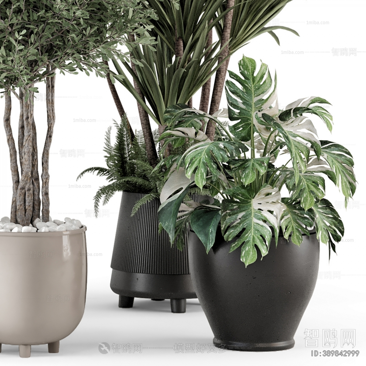 Modern Ground Green Plant Potted Plants