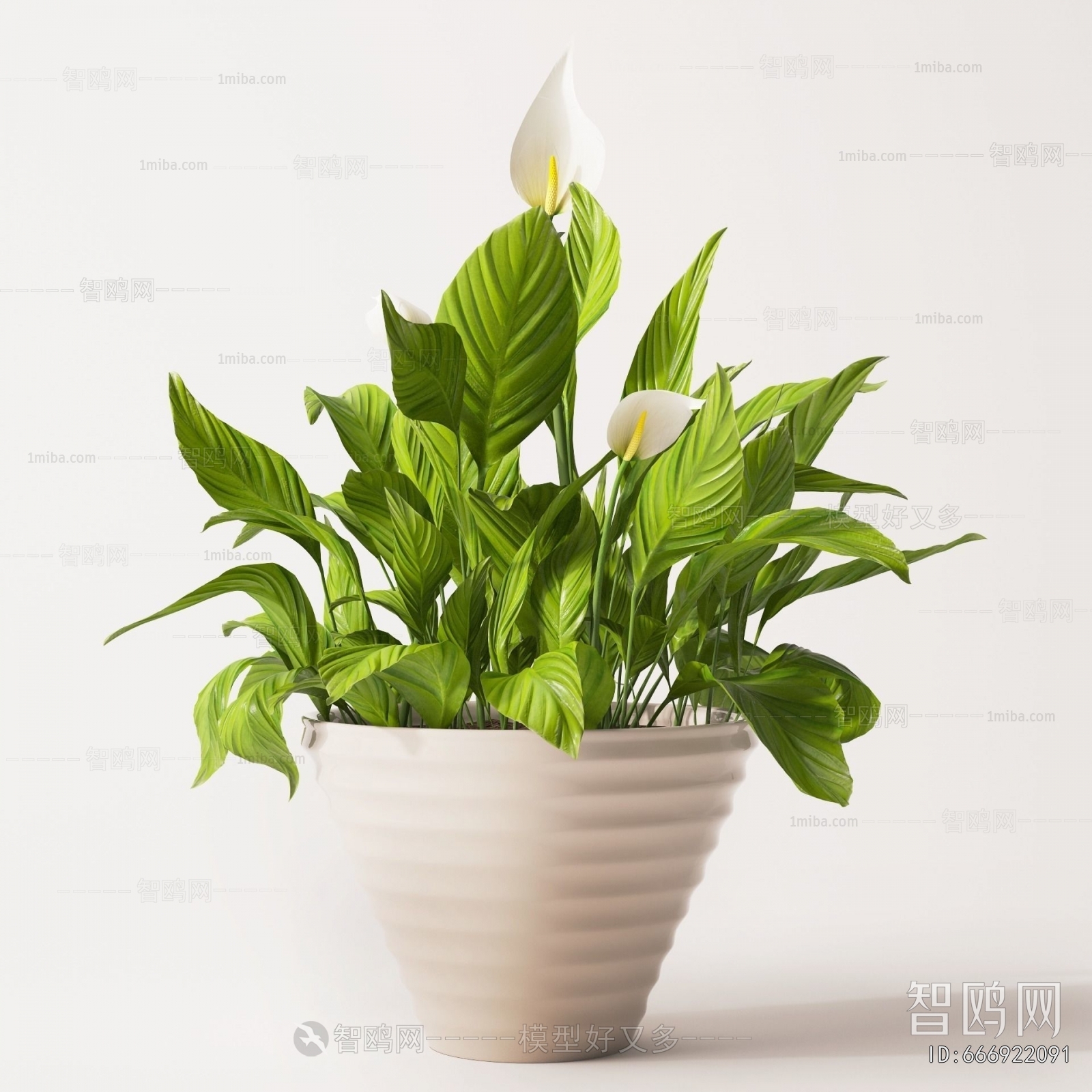 Modern Desktop Plant