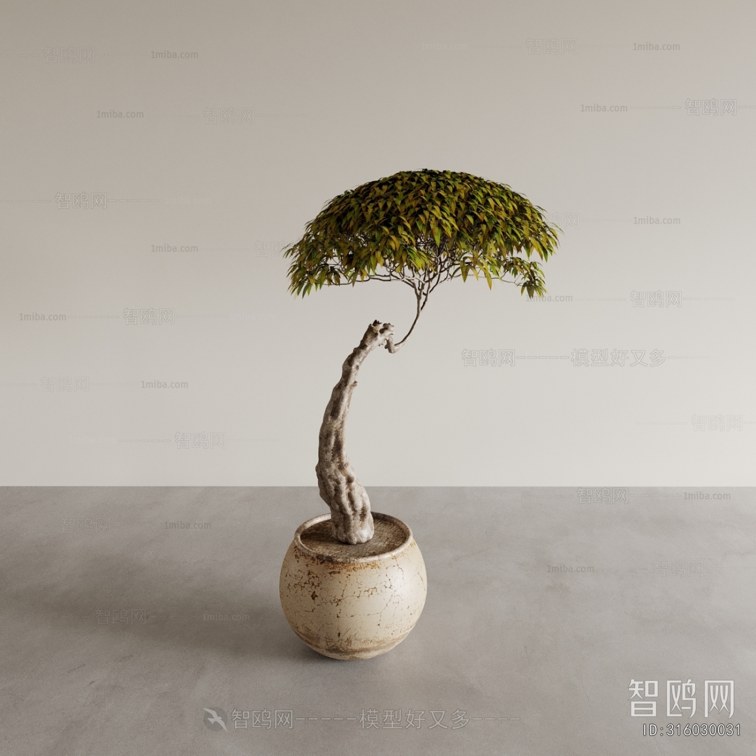 Modern Bonsai