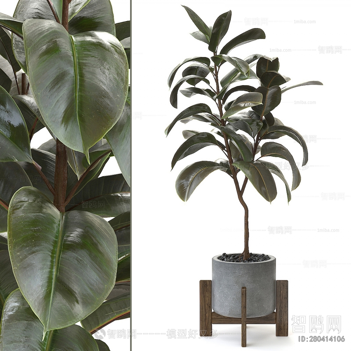 Modern Ground Green Plant Potted Plants