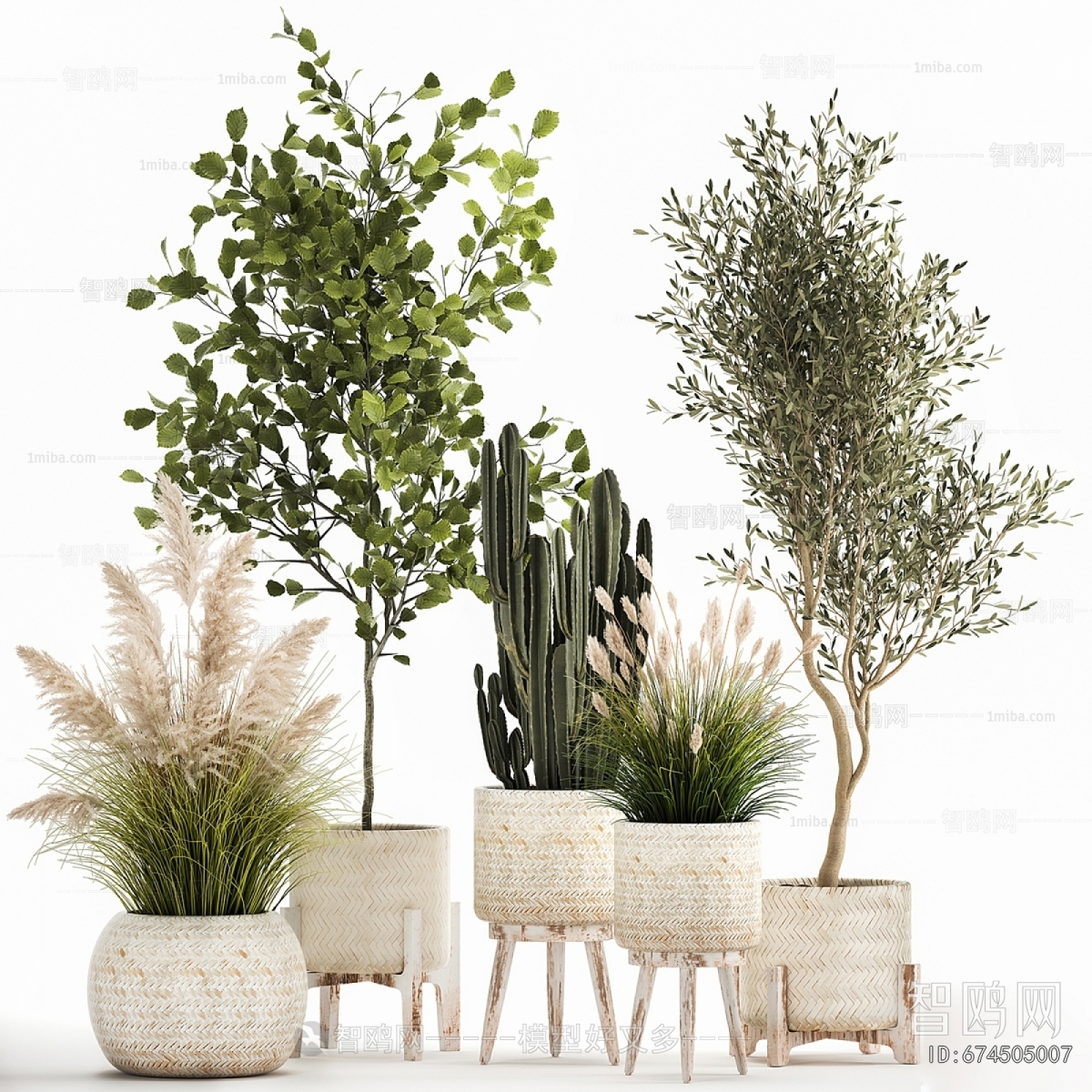 Modern Ground Green Plant Potted Plants