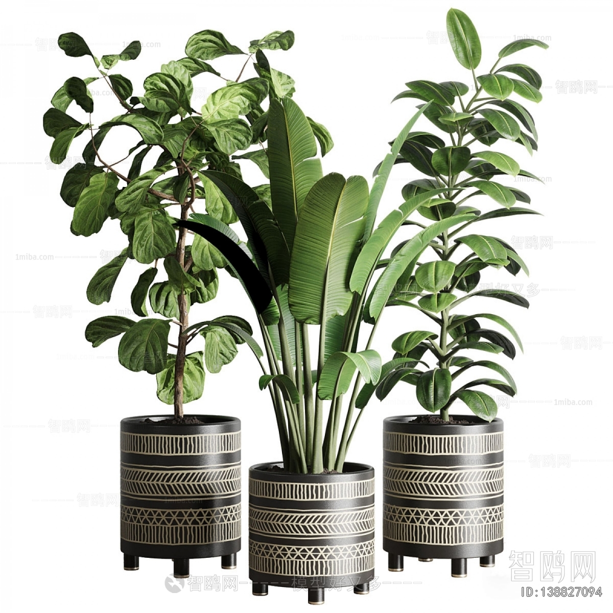 Modern Ground Green Plant Potted Plants