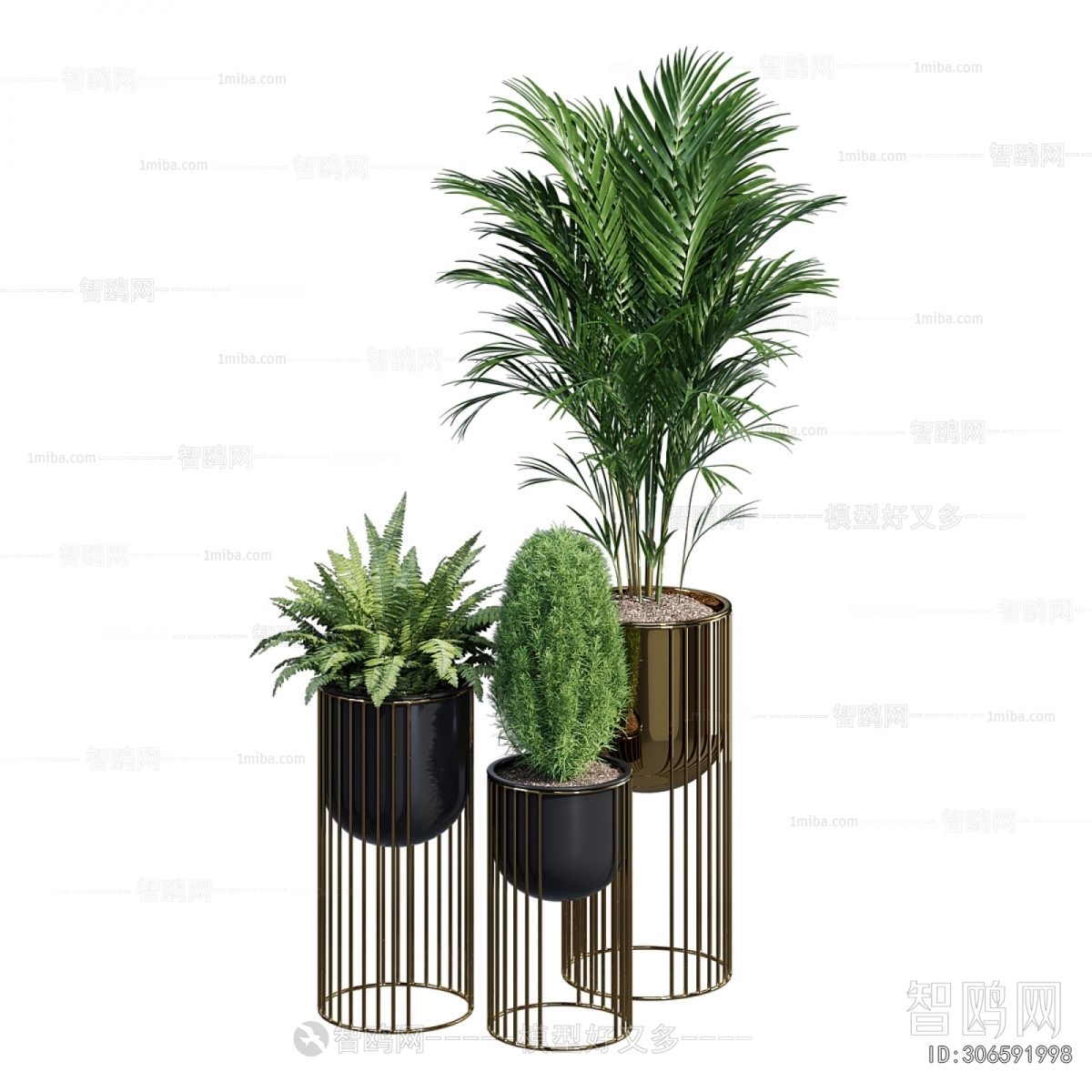 Modern Potted Green Plant