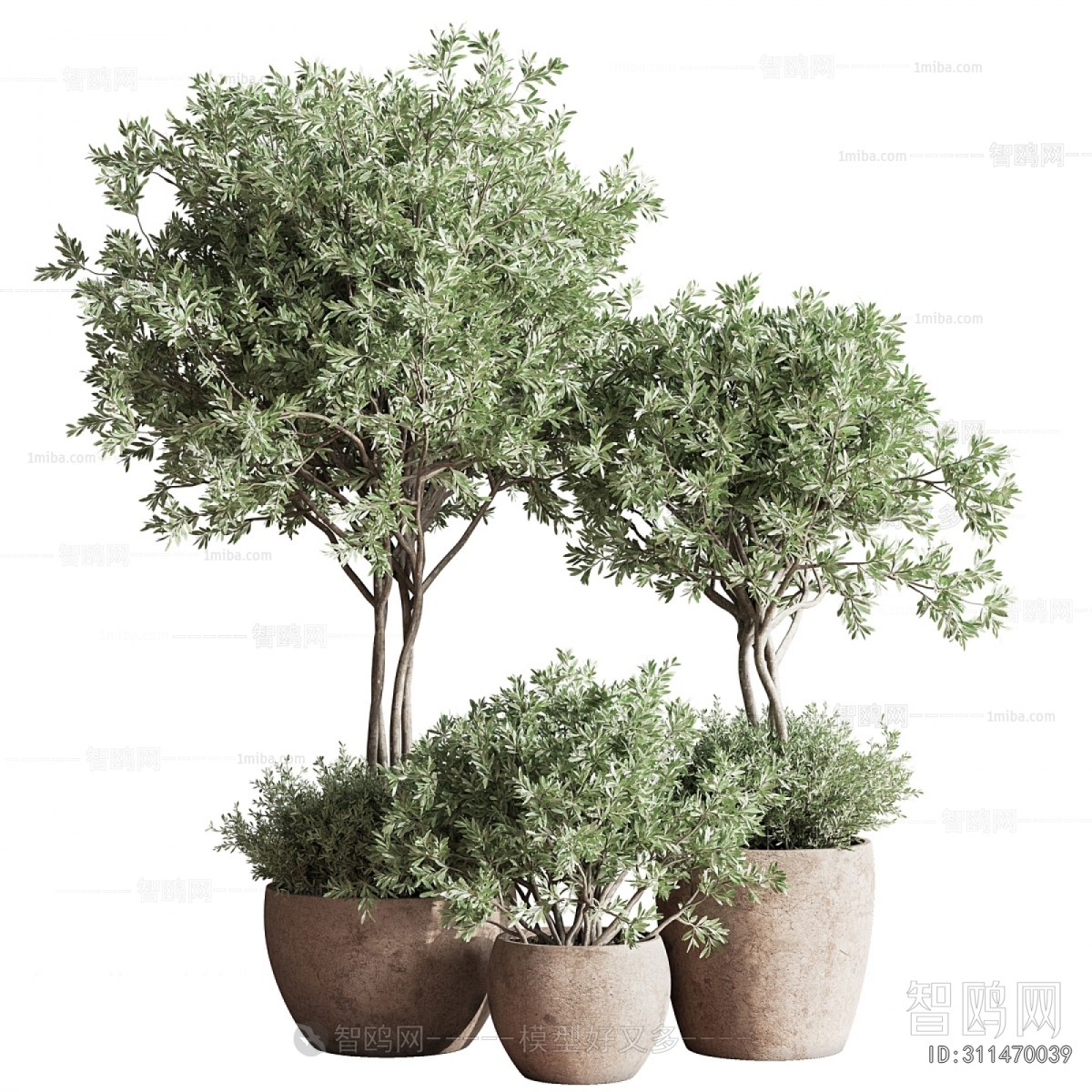 Modern Ground Green Plant Potted Plants