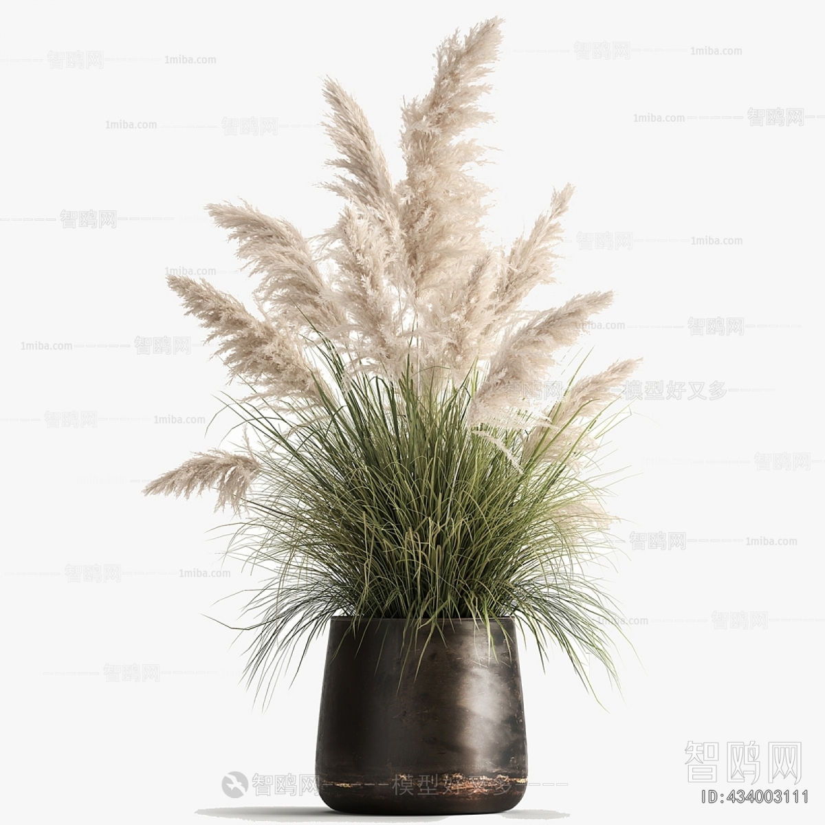 Modern Potted Green Plant