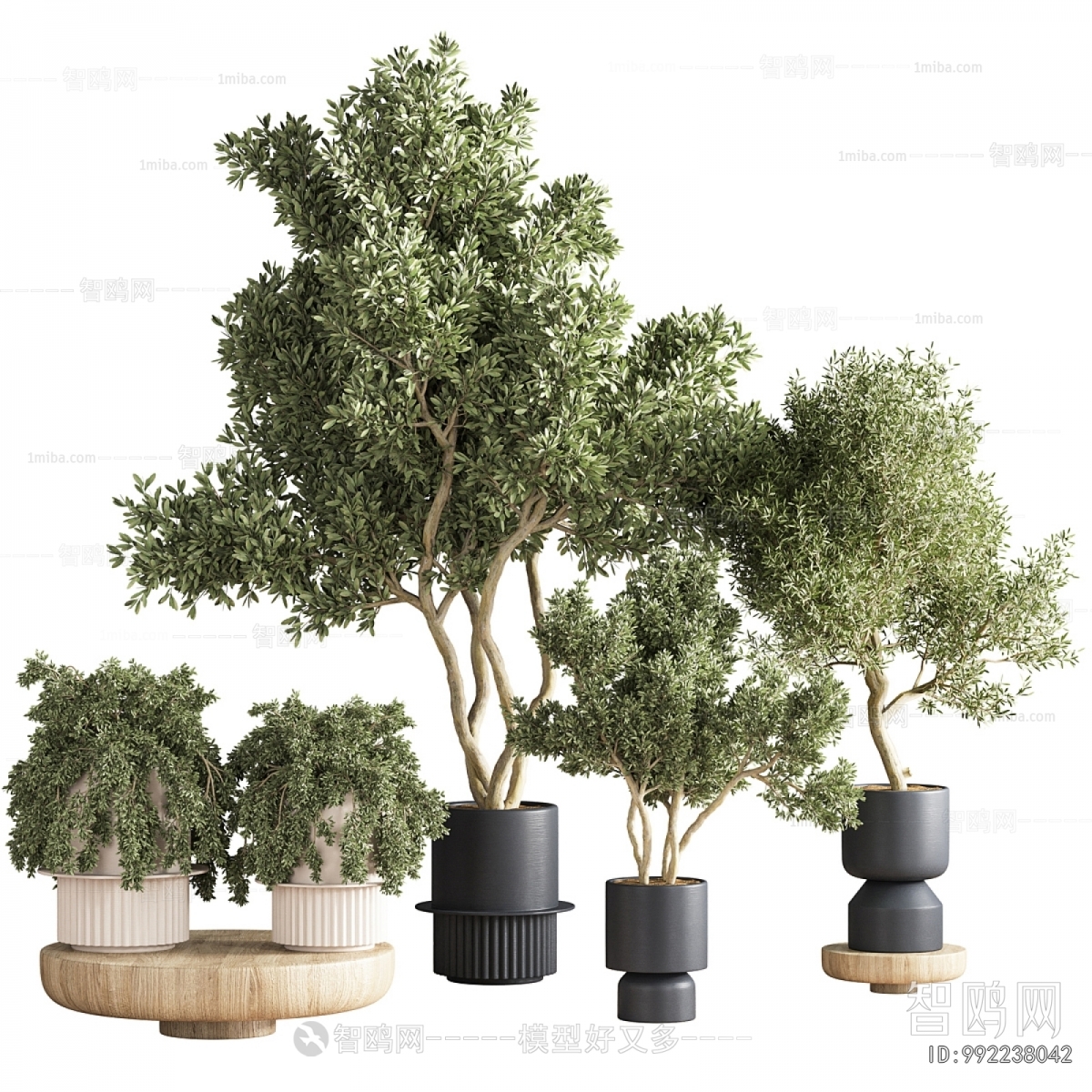 Modern Ground Green Plant Potted Plants