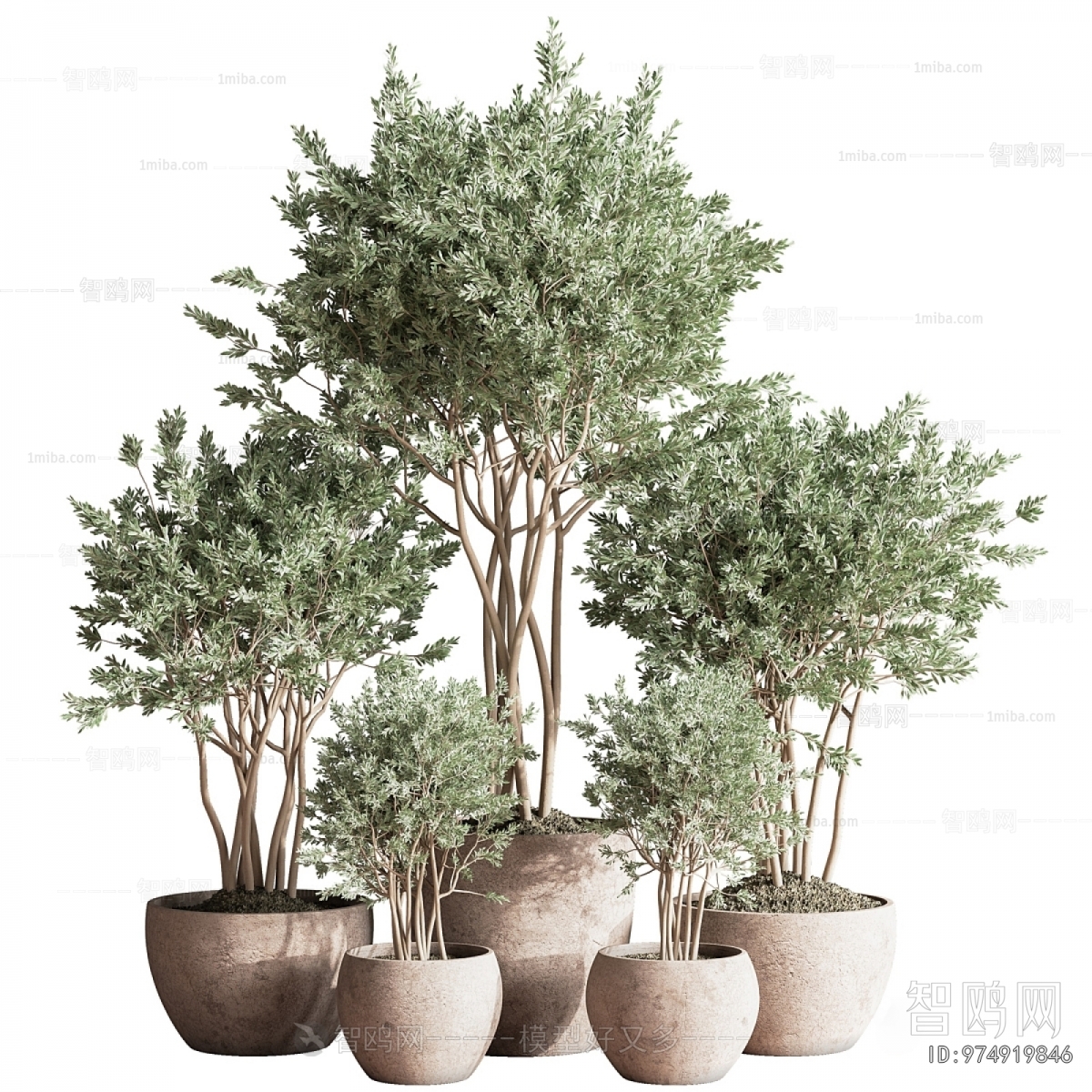 Modern Ground Green Plant Potted Plants