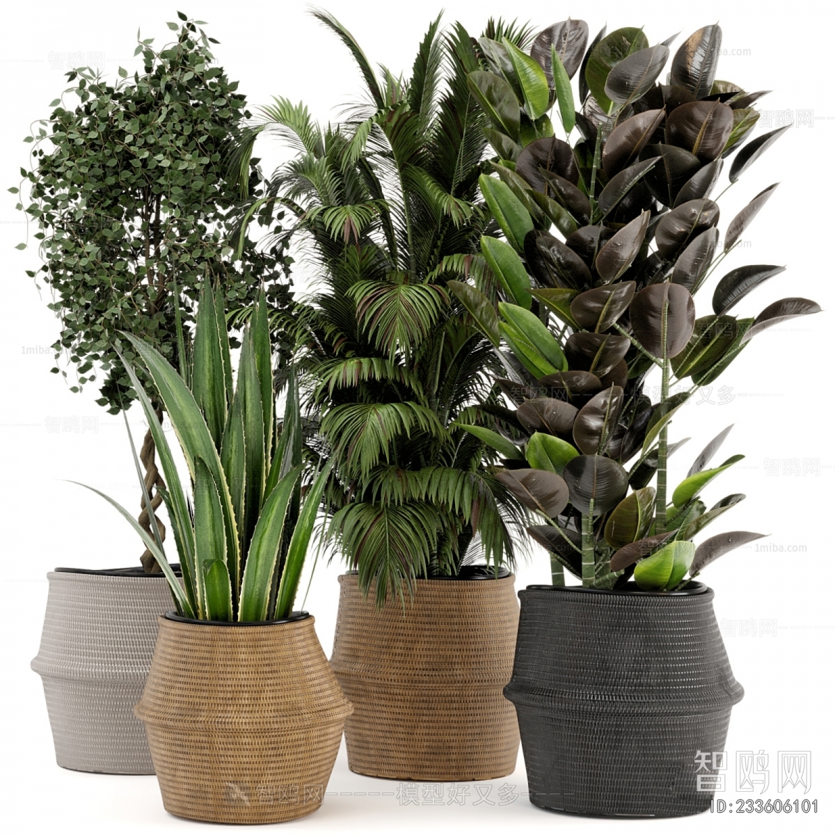 Modern Ground Green Plant Potted Plants